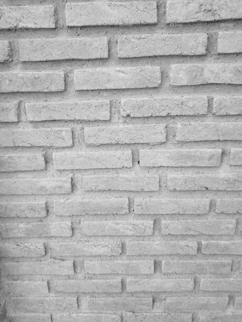 Geometry Series: Rectangle