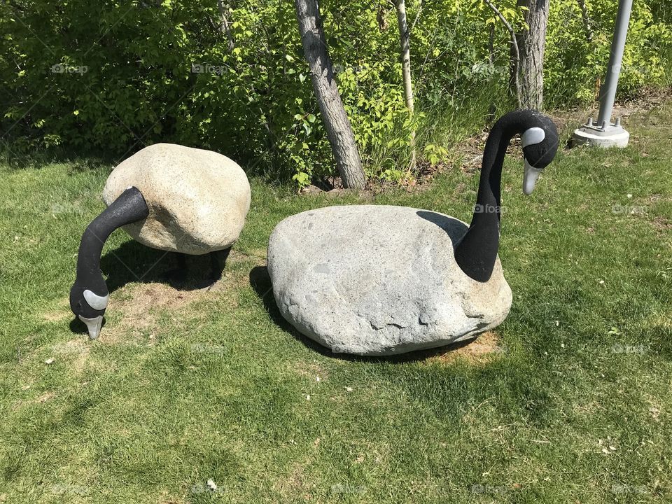 Stone geese are at Great Chief Park.