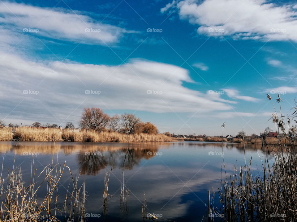 Nature relaxed and beauty