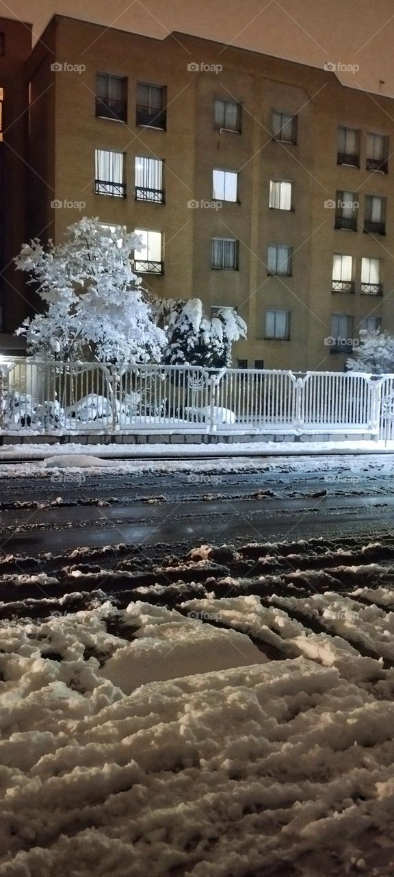 Light of the apartments at night is twinkling to me.They have their own situation inside,but in this beautiful snowy night after a long wait which ground has covered its white skirt,I am sure, residents of these houses spending night in a happy mood.