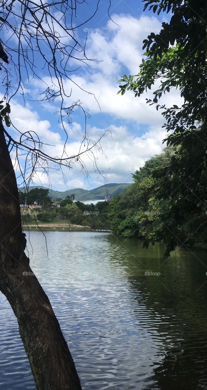 A #SerraDoJapi e seu verde inspirador, retratada ao fundo do lago. Viva a #natureza, de gratuita beleza!
📸
#paisagem #céu #lake #landscape #paisagem #fotografia #Jundiaí