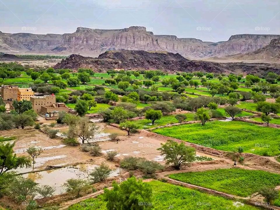 Glory be to God, the magnificent and picturesque view and the natural green trees are a view that is nothing more wonderful than it