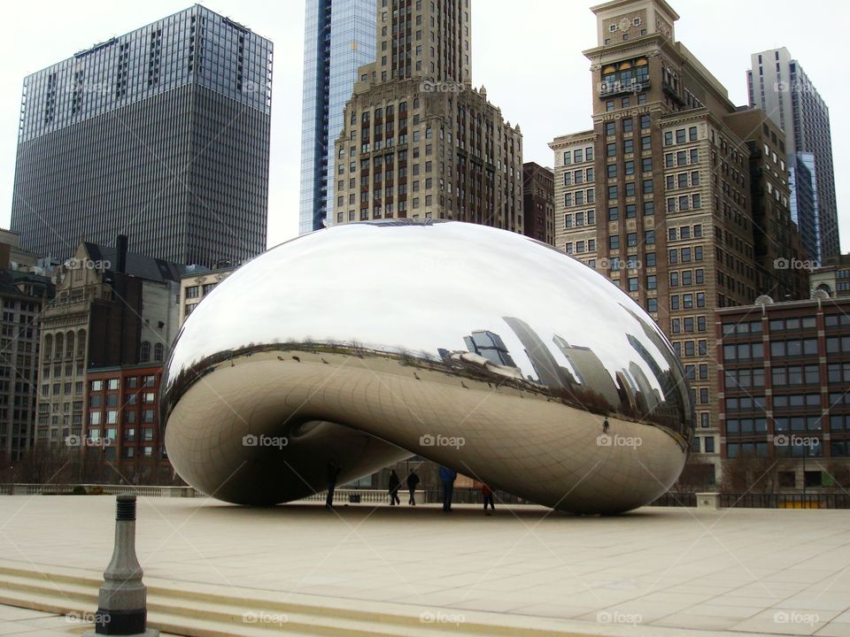 The bean