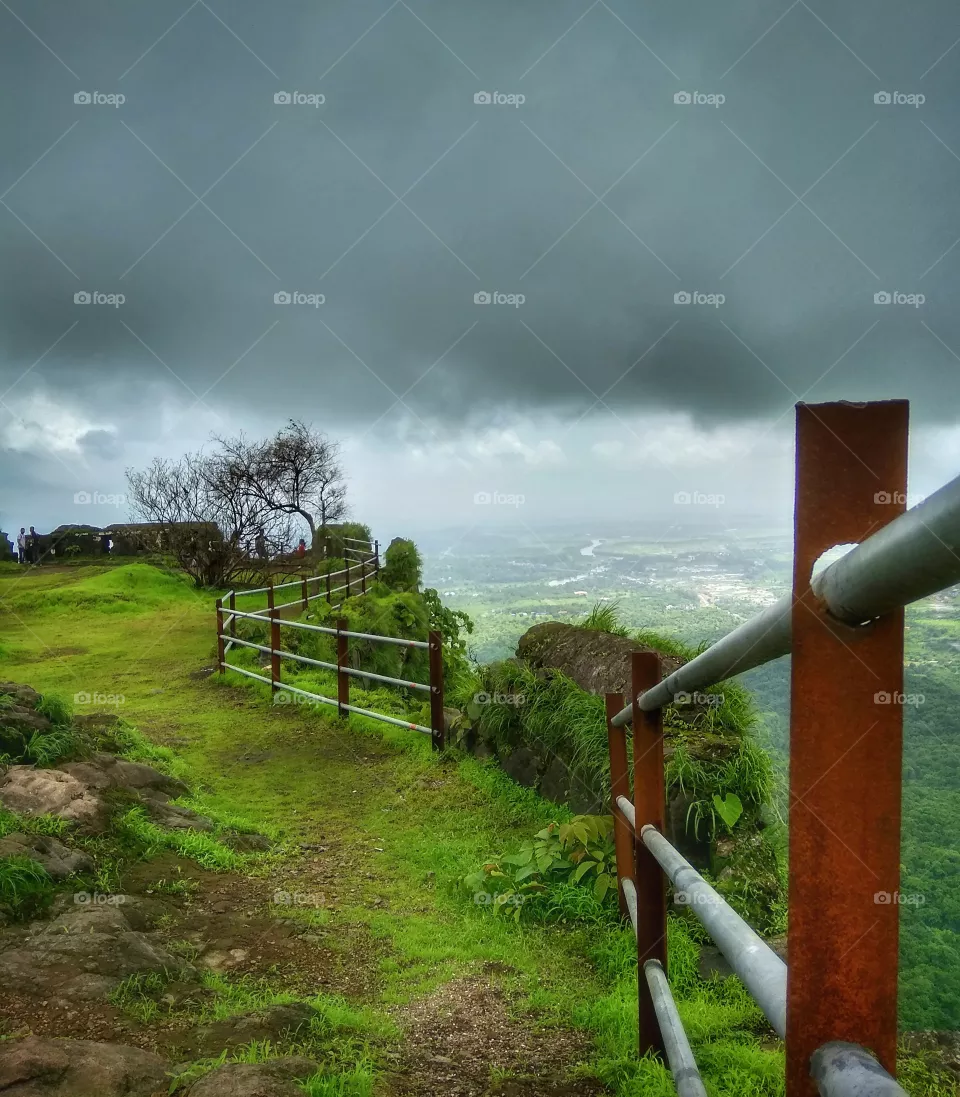 fence