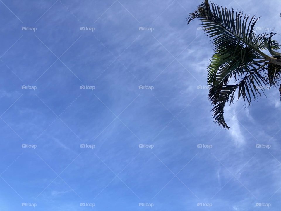 Lindo horizonte azul em Jundiaí!

Que hoje, 6ª feira, seja melhor do que ontem e pior do que amanhã.