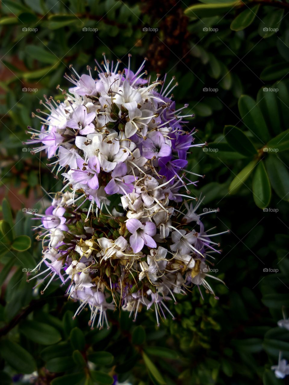 a beautiful bouquet of flowers