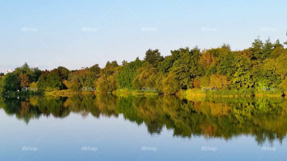 reflection of the forest on the lake