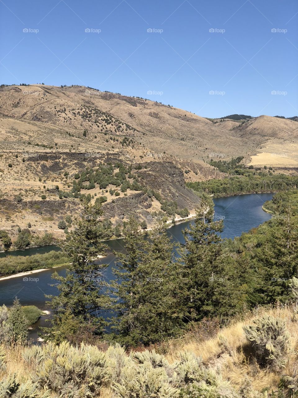 A River in Idaho