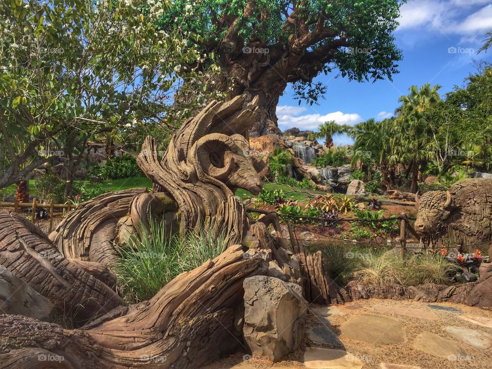Tree of Life. A decorator tree at Disney's Animal Kingdom