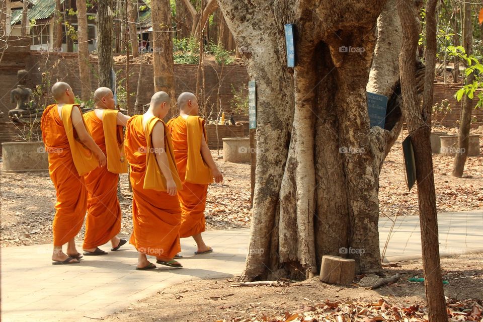 Buddhist monks