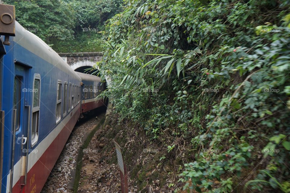 Wood, No Person, Tree, Travel, Locomotive