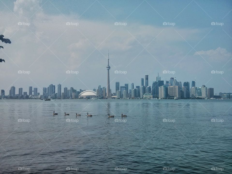 Toronto islands 
