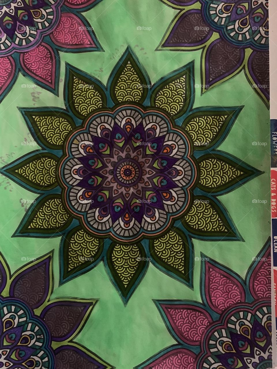 Draw art color fun paint 