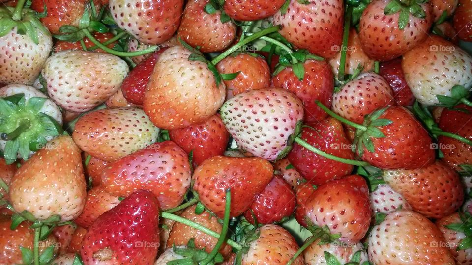 Strawberries