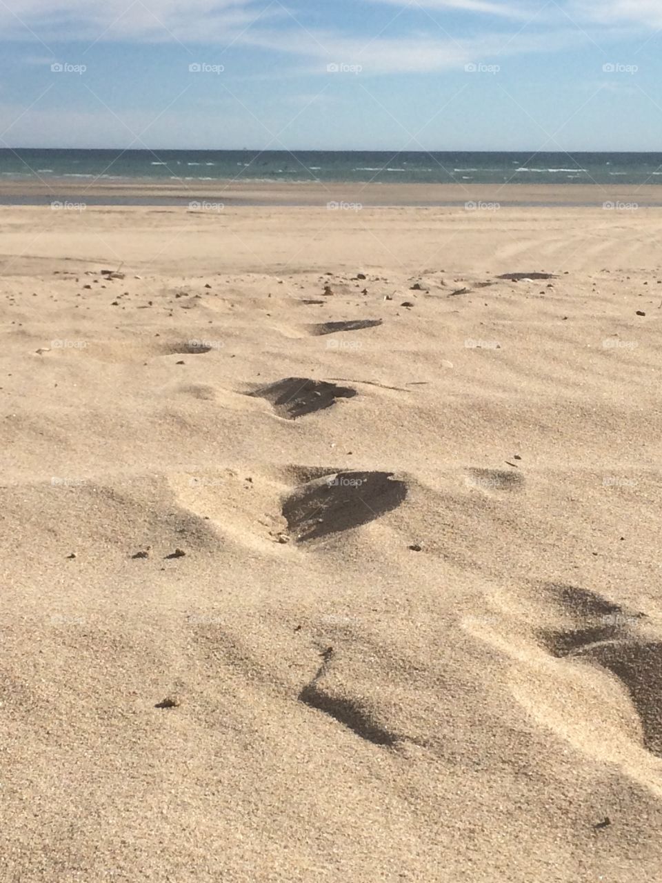 Peñasco beach, sand and dunes 