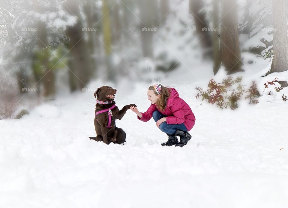 Girl and her chocolate Labrador retriever 