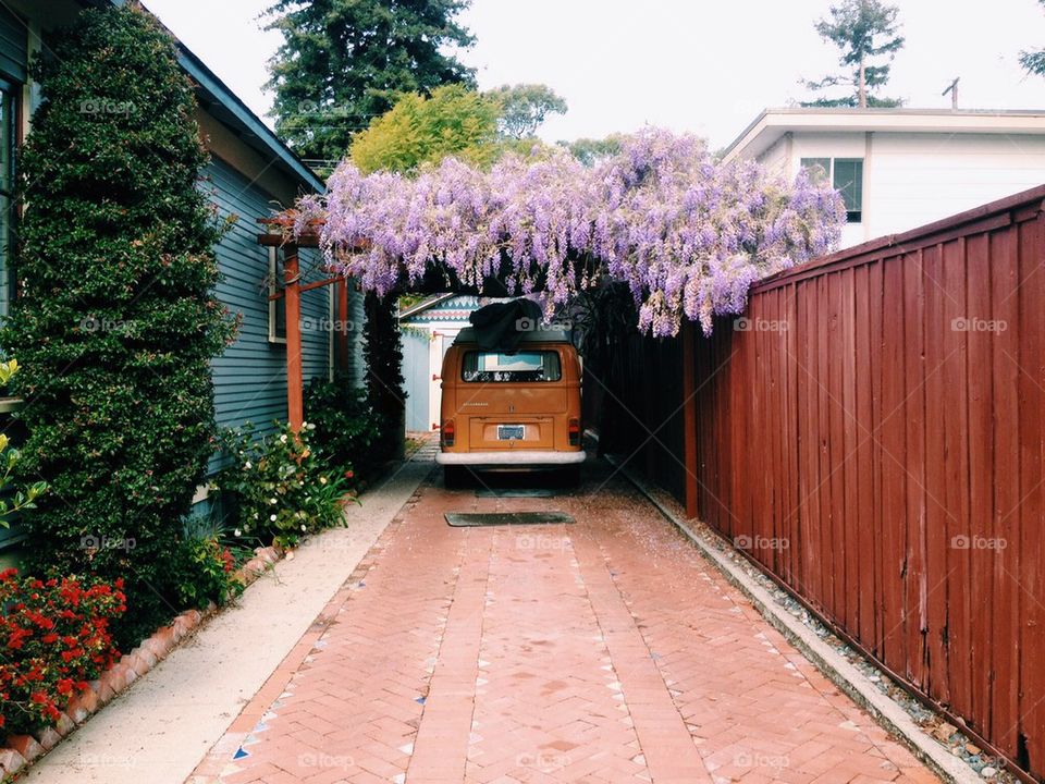 Lavender Garage