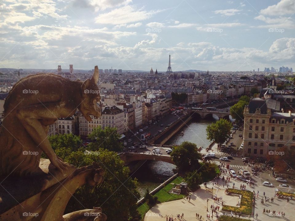 Notre dame's view. A beautiful view from a notre dame's tower