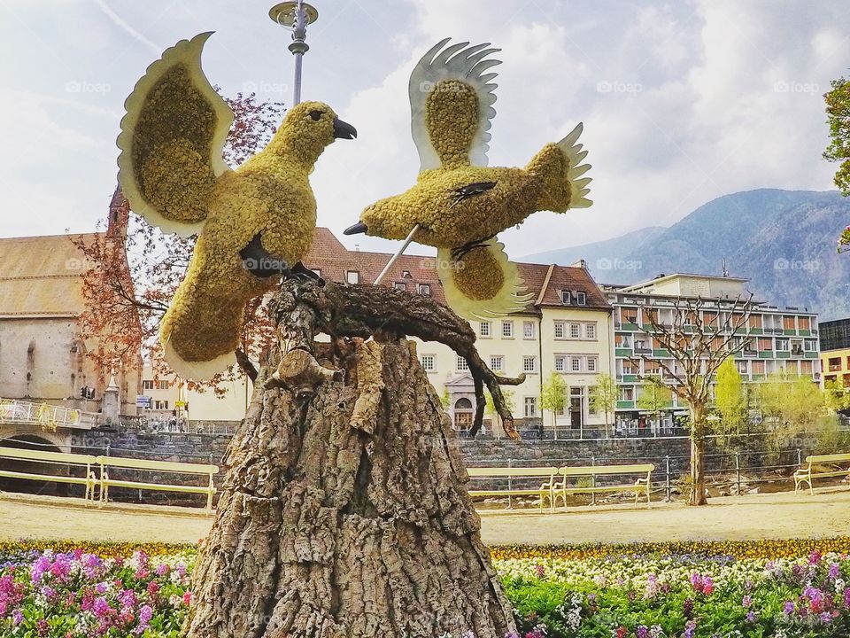 Spring in Merano 