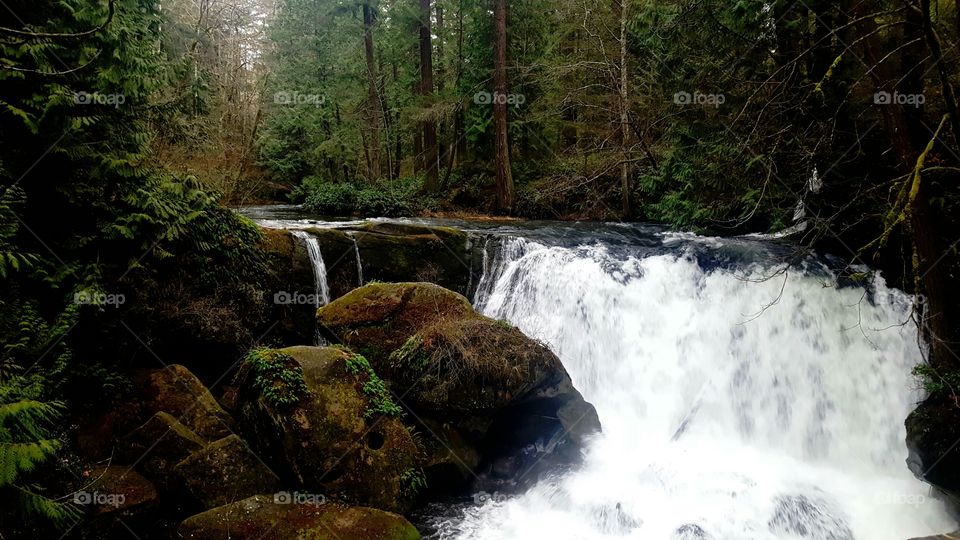 Whatcom Falls