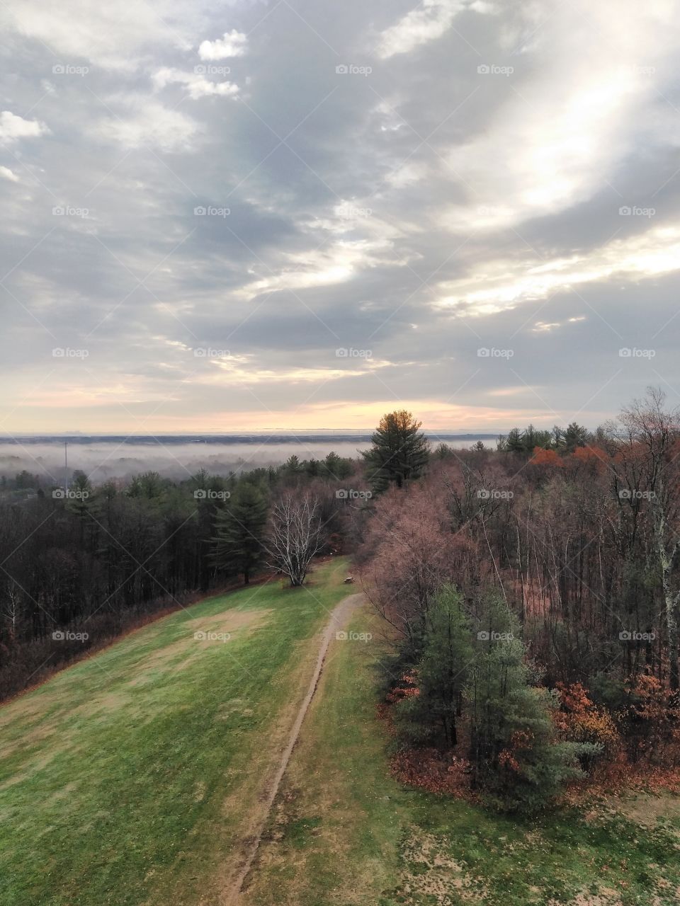 Foggy fire tower view