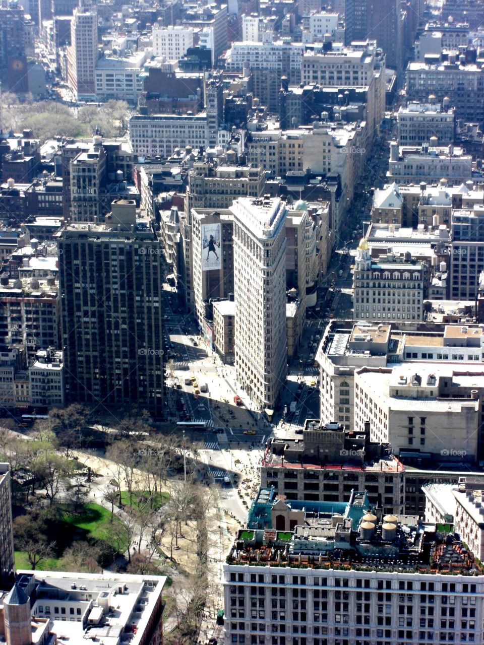 New York City Flat Iron Building from building top