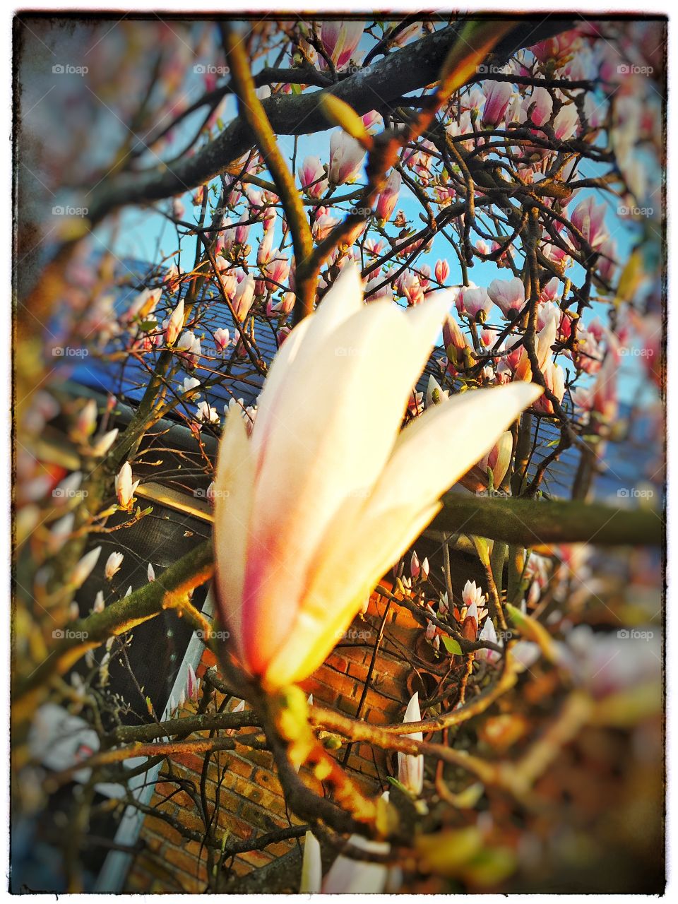 Springtime. Springtime In Denmark 