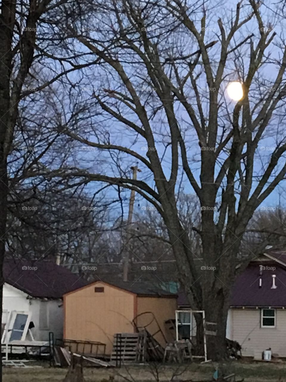 The moon, Big white ball in the sky