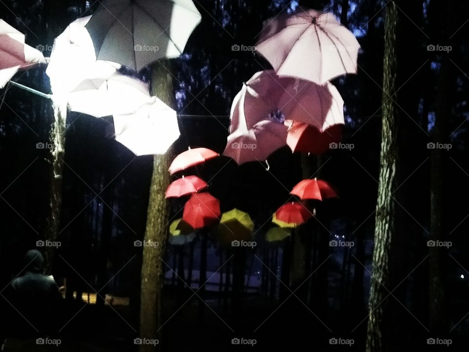 umbrellas arranged neatly at night.