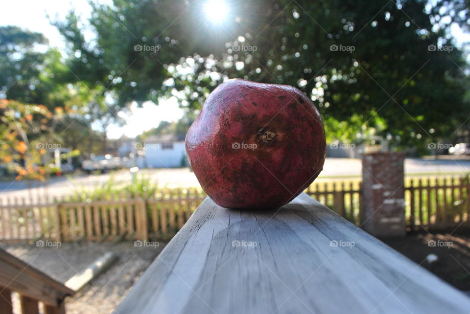 A pomegranate outside on the porch