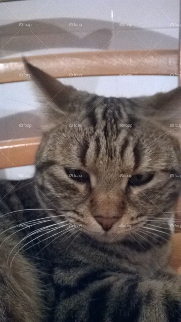 Me and my parabolic ears