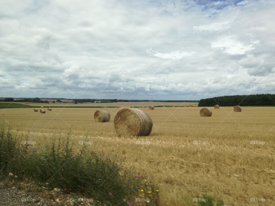 Frankreich - Francia - France - Le France - Frantzia - França -