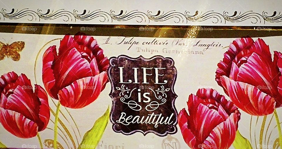 life is beautiful (most of the time)