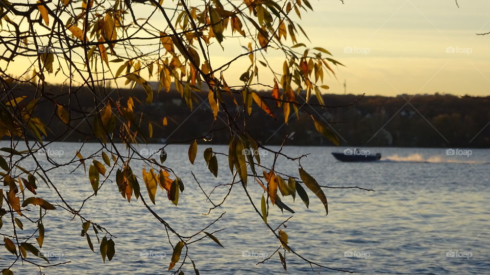 boat with a motor on the water