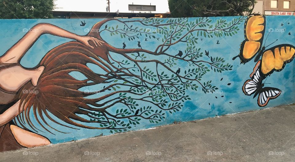 The full view of beautiful street art at Shasta Lake California 