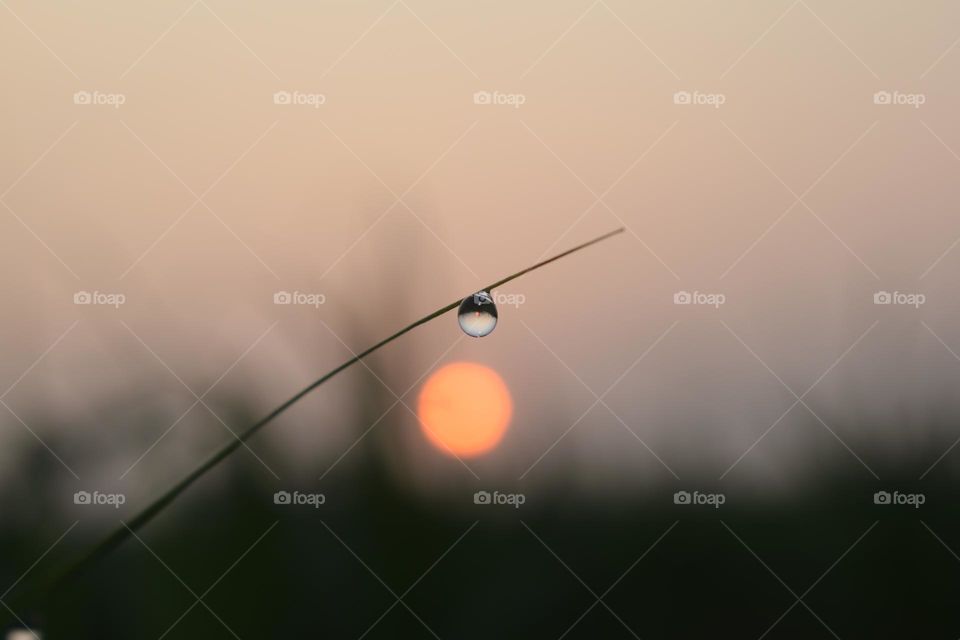 A drop of dew and sunrise in autumn