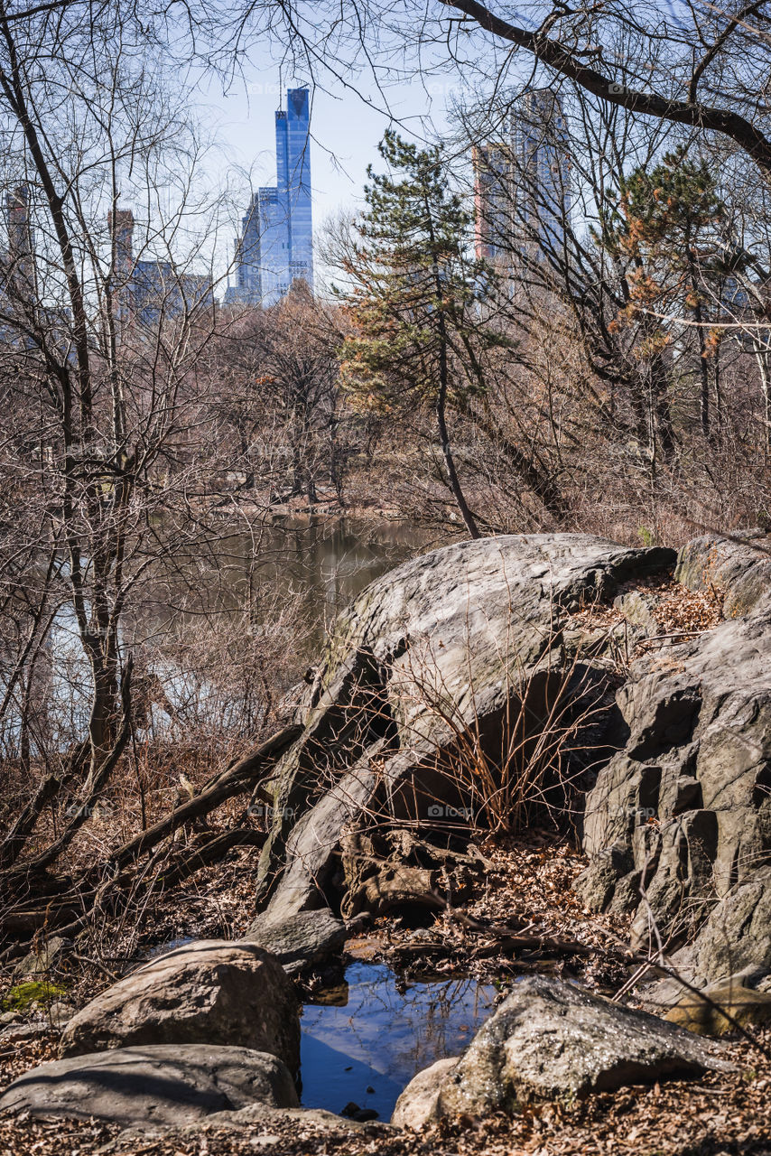 The cityscape of the skyline of New York from Central Park
