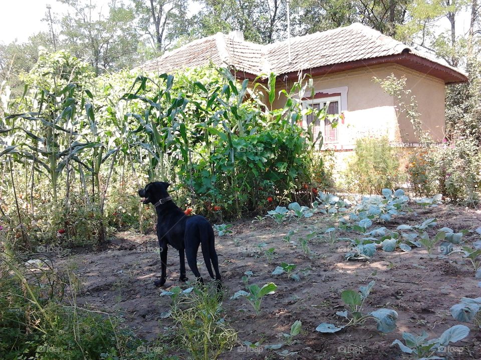 Cutest animals in the world