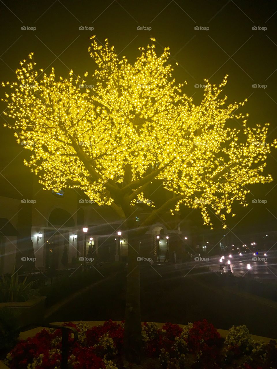 Yellow flower lights on a tree