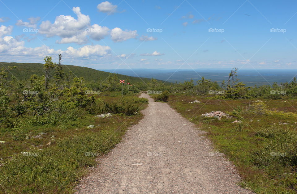 Hiking road in the mountains, Sweden.