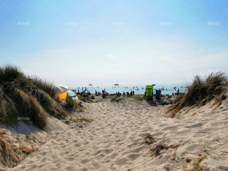 Sand dunes by the beach