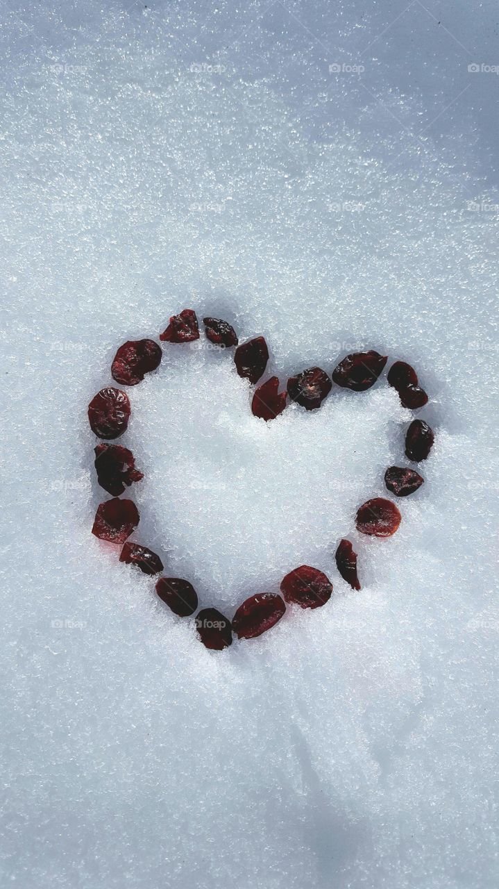 Heart in the Snow