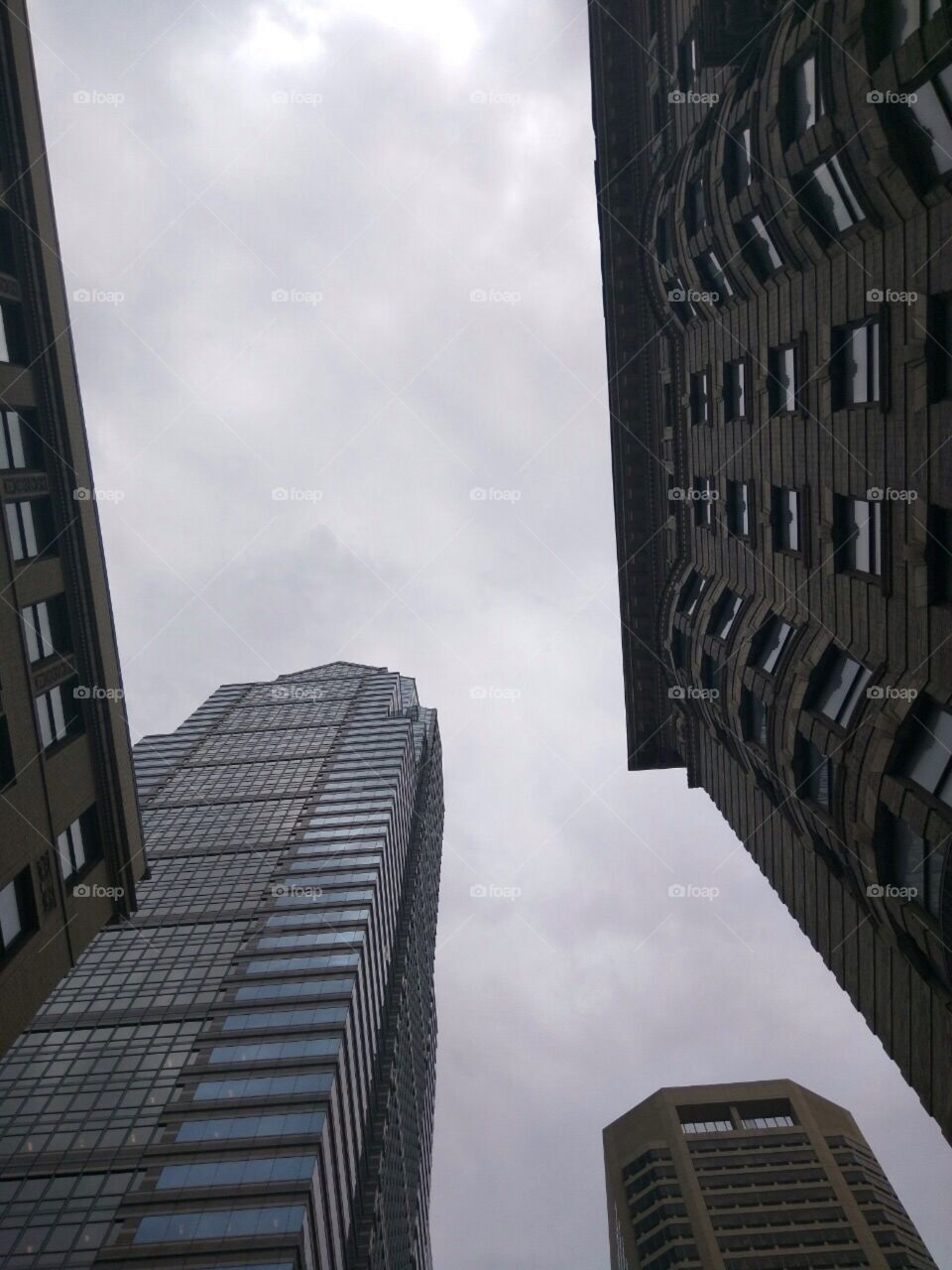 Looking up in Philadelphia 