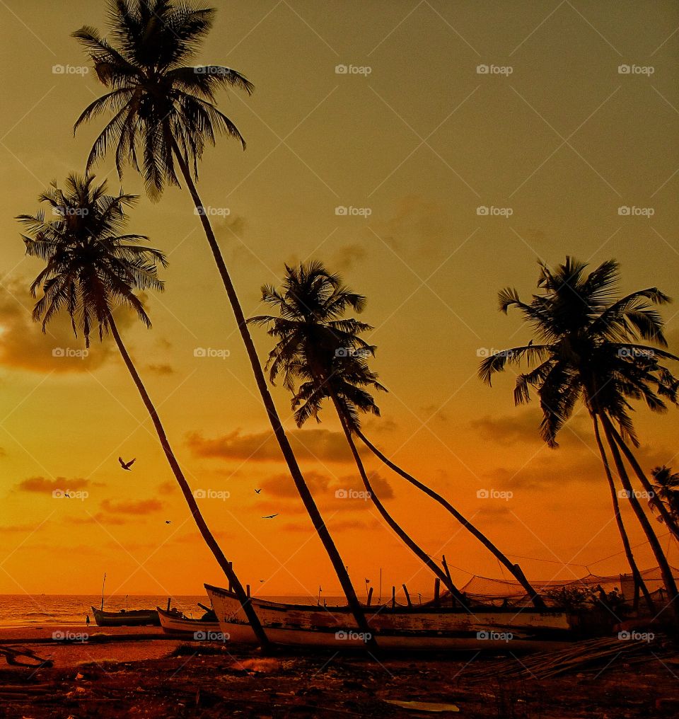 magical sunset by the beach