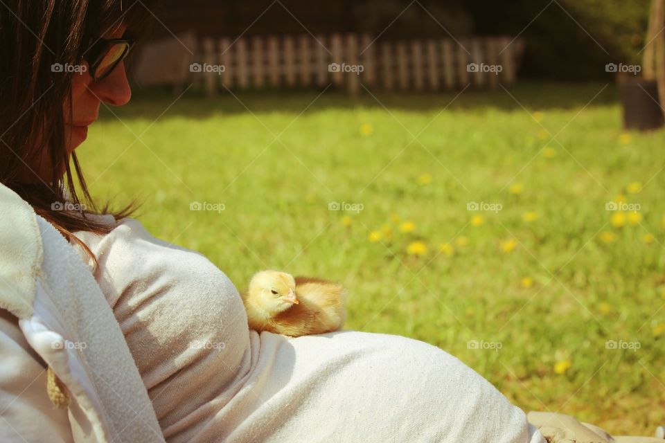 Chick on pregnant woman stomach
