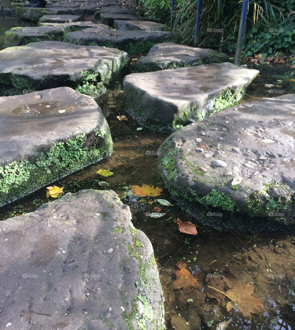 Stepping stones 