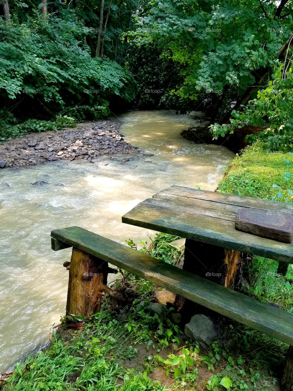 yesterday, this man made bench sat on completely level ground. Flash flooding along a creek eroded the land 2 feet.