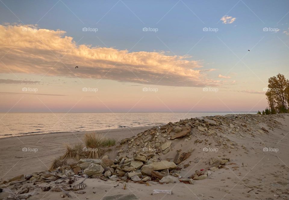 Liquid Fresh water Lake Eerie on Cedar Point shoreline and sandy, rocky beach with purple, pink and blue sunset sky divided by clouds. Beach grass and rocks in foreground and seagull in sky