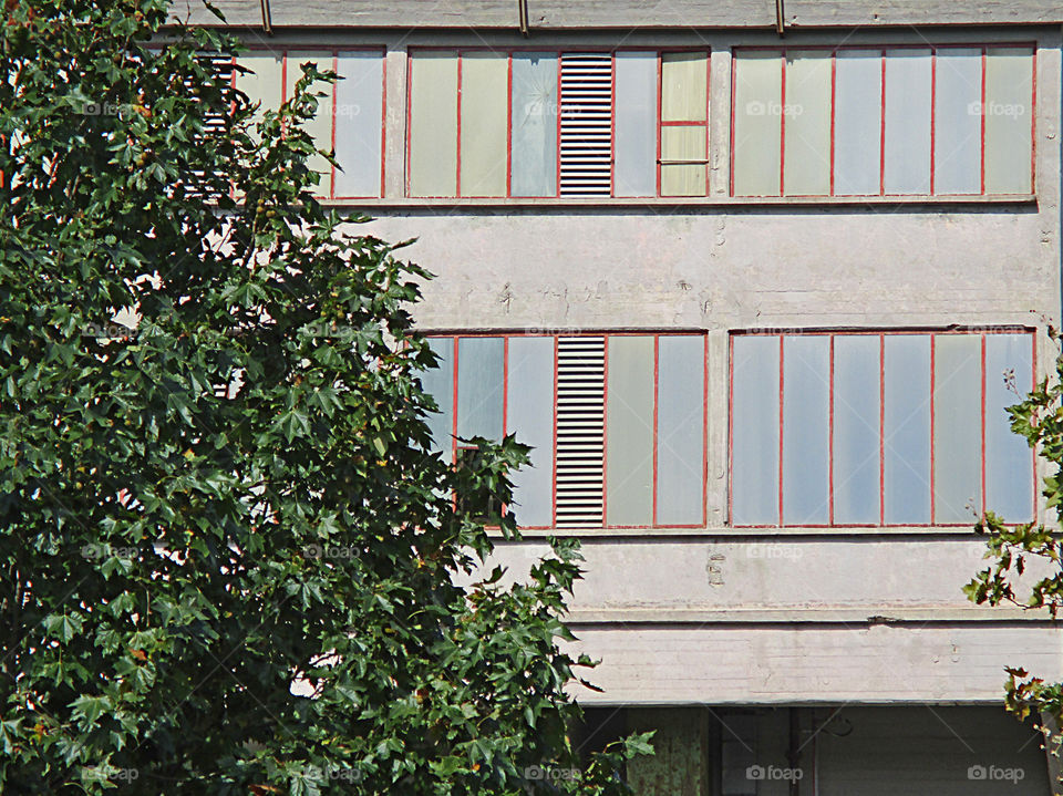 windows by the green