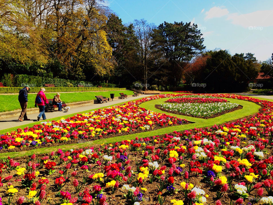 Colourful flower beds planted in a heart shape in a public park with